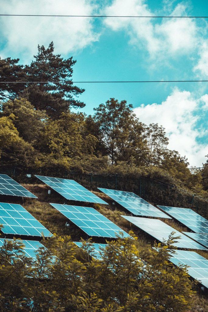 solar-panels-on-green-grass-field-gd8io0e4ozm solar-panels-on-green-grass-field-gd8io0e4ozm